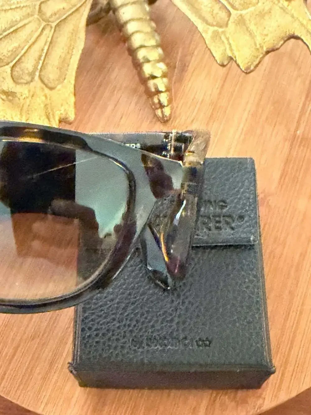 Ray-Ban hinges shell frames